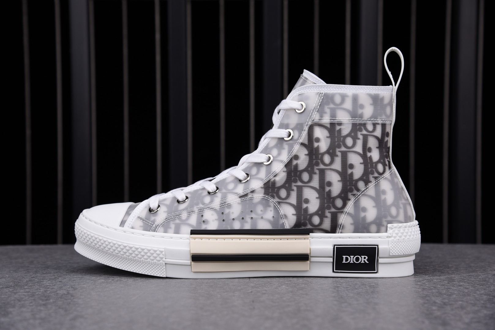 Dior B23 High Top Logo Oblique