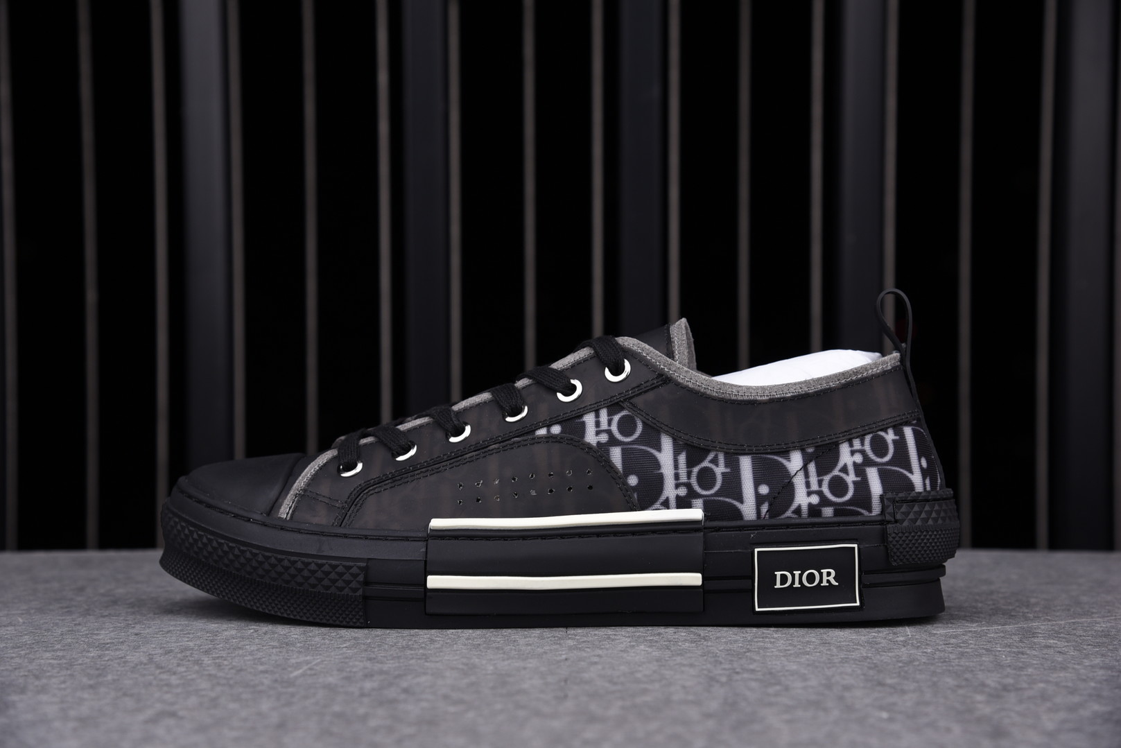 Dior B23 LOW Top Canvas Oblique Black