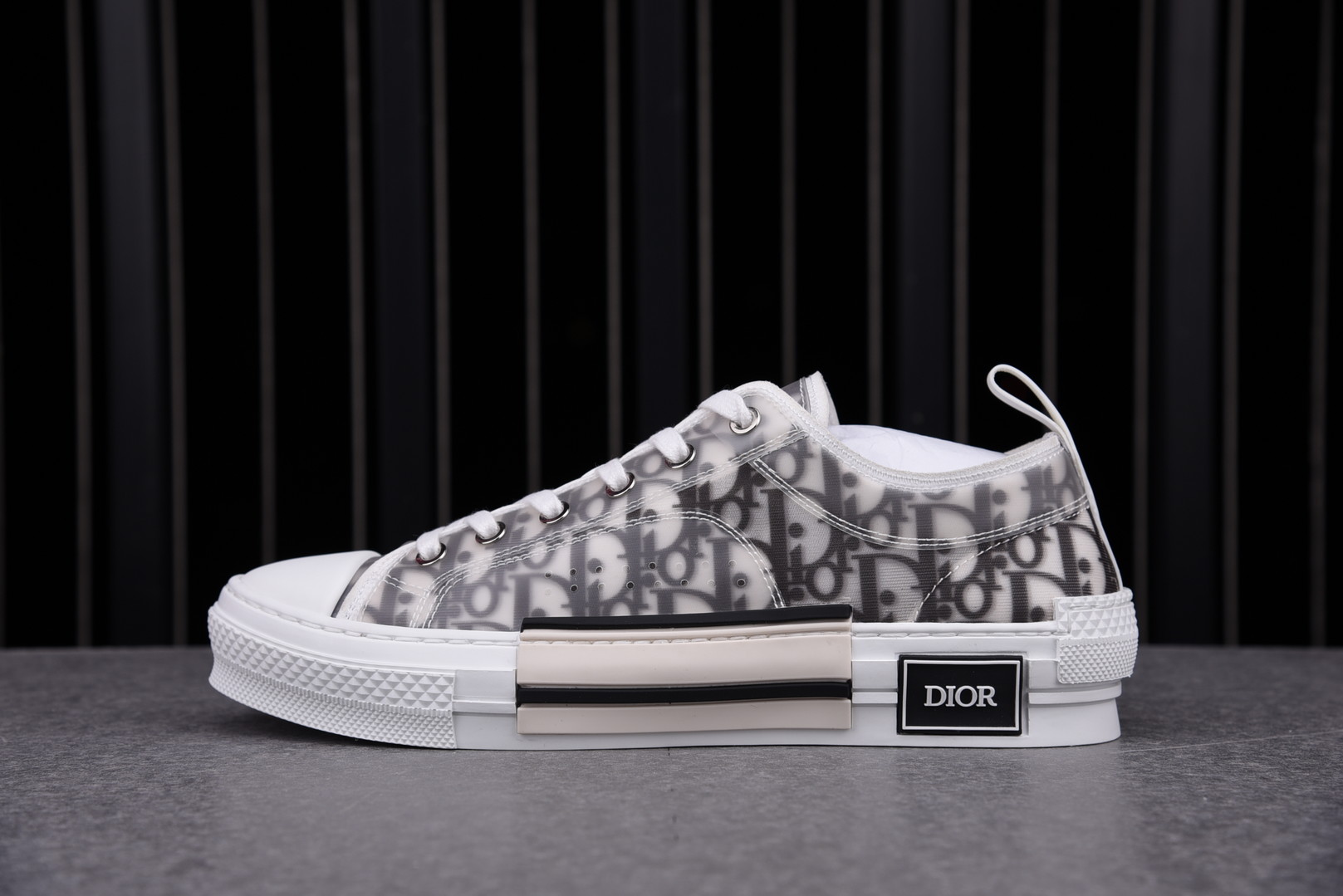 Dior B23 Low Top Logo Oblique