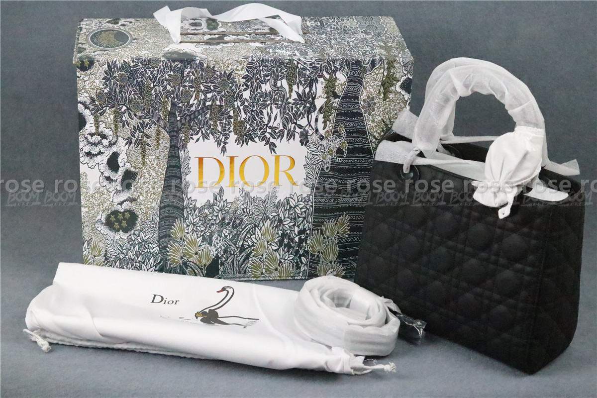 Dior bag