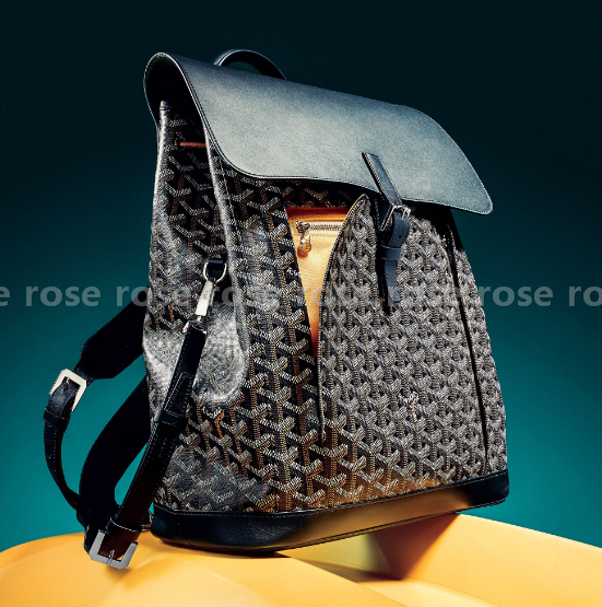 Goyard Bag 1