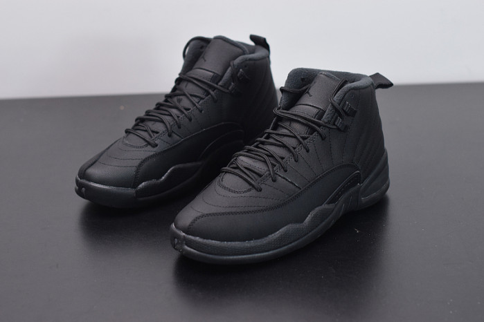 Air Jordan 12 Retro WNTR Family Pack