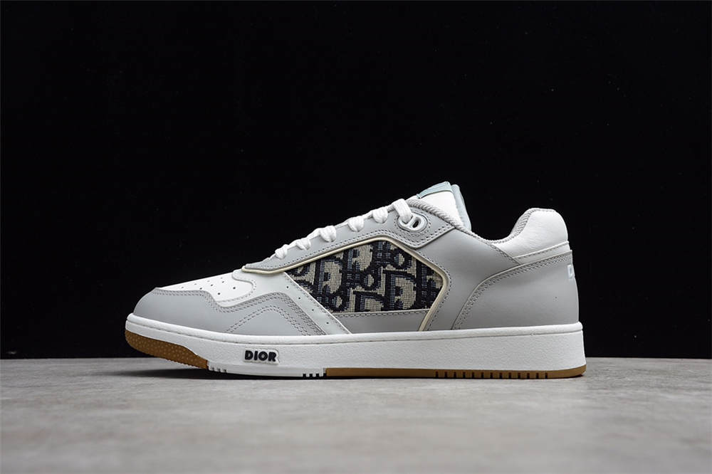 Dior B27 Low Gray White