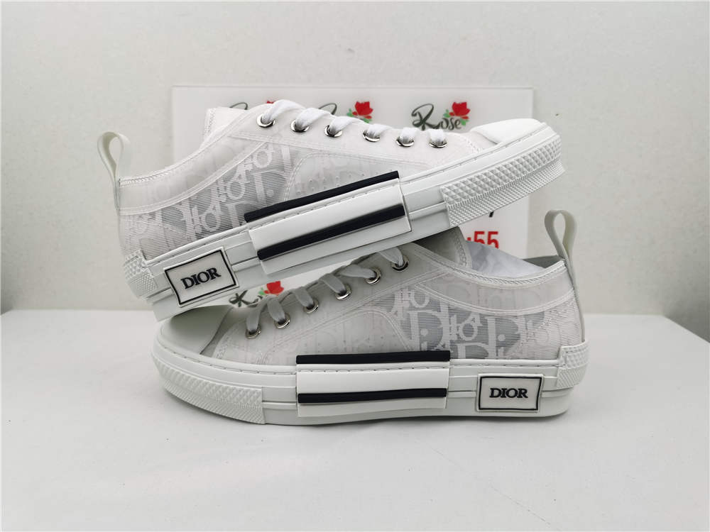 Dior B23 low Top Oblique white