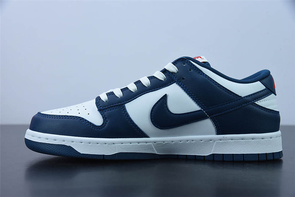 Nike dunk low Valerian Blue