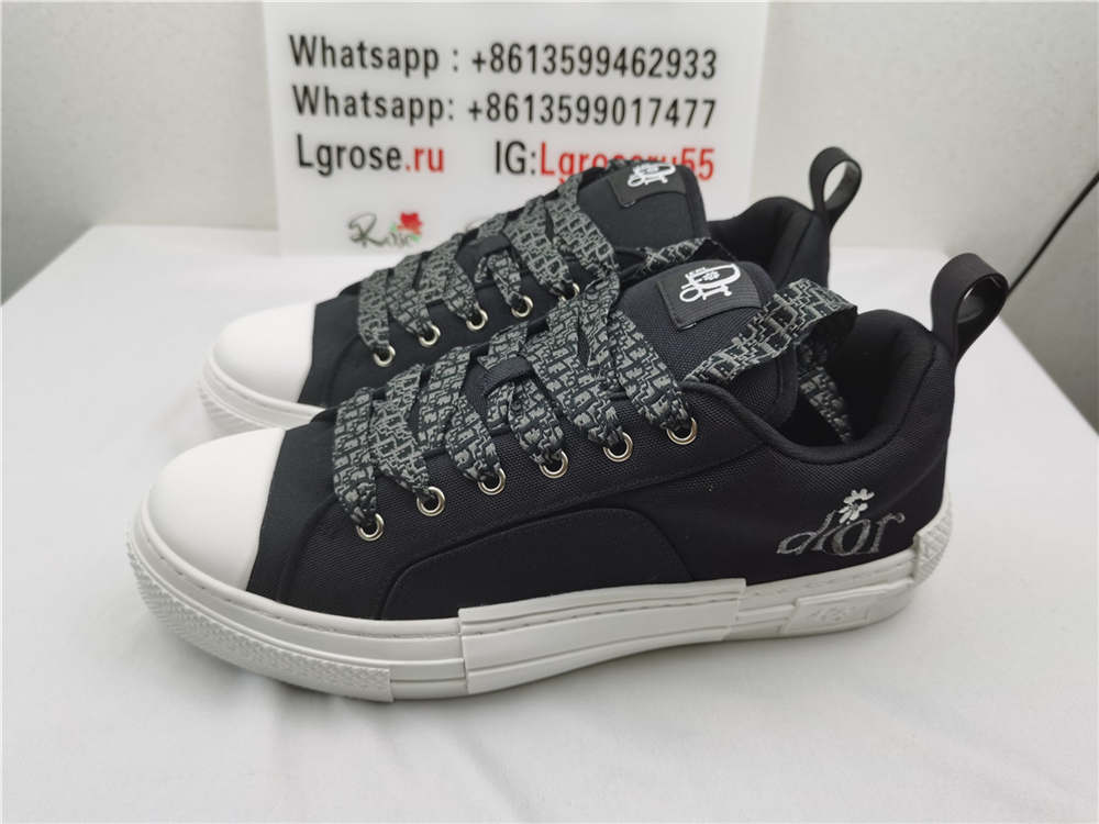 Dior B23 Skater Sneaker 3SN292